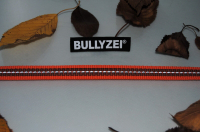 Bullyzei Leine gummiert + reflektierend 20mm x 0,8m ohne Schlaufe, orange